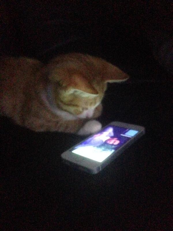 Inte bara jag som följer avslutningen! #sillybladet