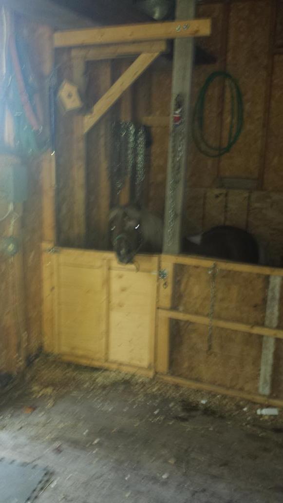 chapeauboy's tweet image. There's no place like home @BraedonMuldoon @sueryan2dot0 @smcdonald17 @clydeman67 @Muldoon87 #backhome #coldpints