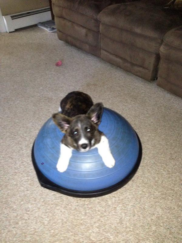 lizzsteidl's tweet photo. http://t.co/vrWKrw4PnN