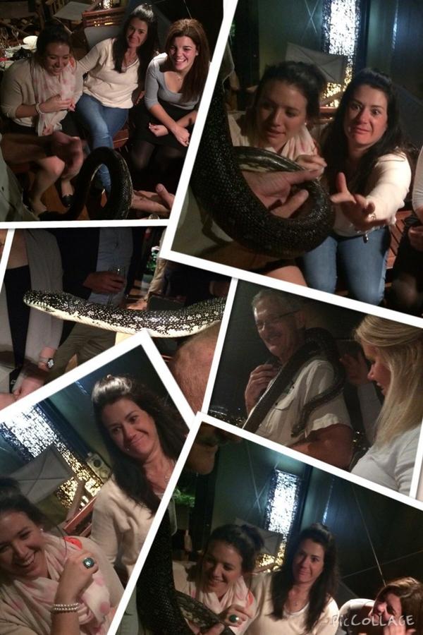 KDuver's tweet photo. @KatherinePilk not really impressed by the snake? #wooliesagscholarship2014 http://t.co/rXcDMjiRT4