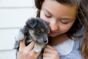 8 Tips to Help You Raise and Train Your New Puppy bit.ly/1A0O1RY #puppytrainingtips #puppytraining