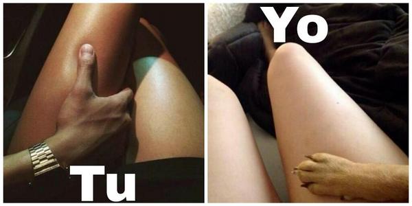 tuqueridasocia's tweet photo. Situación sentimental de todos VS la mía. http://t.co/D6ePyUnMMF