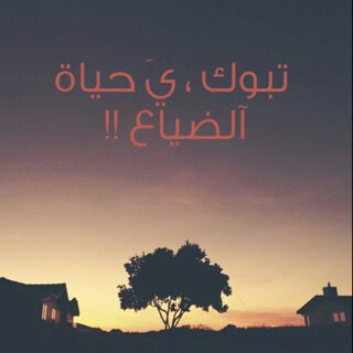 wee13984's tweet photo. http://t.co/xCWmNWu2Yx