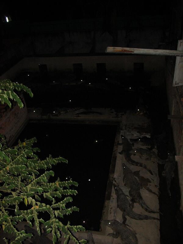 scienceride's tweet photo. Cambodian hostel. http://t.co/L5o5AyJKwR