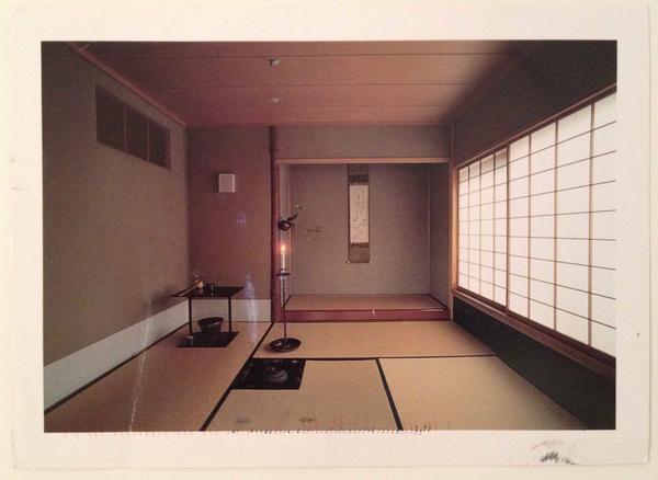 Dina Ciraulo tweet media