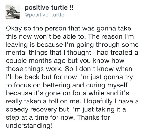 positive_turtle tweet picture