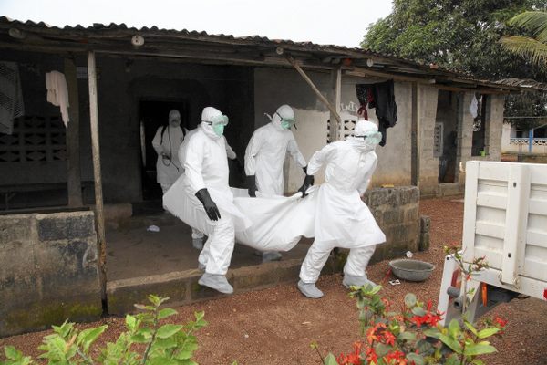 dailyrapid's tweet photo. #Ebola virus rapidly #mutating, making it harder to #diagnose and treat http://t.co/hpaWgQuh30 http://t.co/jCj3vQqQnu