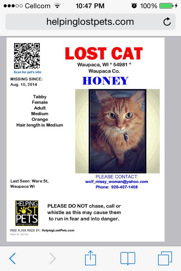 McRoehl's tweet image. Help bring my kitty home #lostcat #lostkitty #mediumhair #tabby #frontdeclaw #fixed #femalecat #waupacaWI #WI