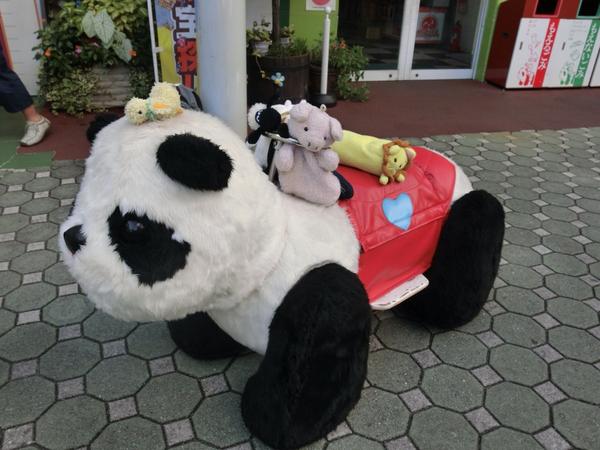 Unagi Travel Twitterissa Rinding The Panda Car At Hanayashiki The Oldest Amusement Park In Japan Kinda Scary 日本で一番古い遊園地 花やしきに来ています パンダカー Http T Co Gofjwifokw