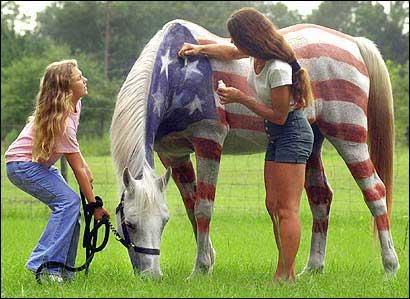 "...We never speak of this again..." 
#PatrioticHorse #WinsAllTheLadies