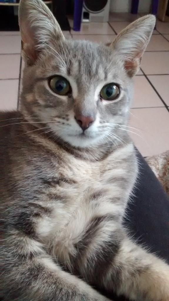 GMerysun's tweet image. Cómodo, sin preocupaciones...