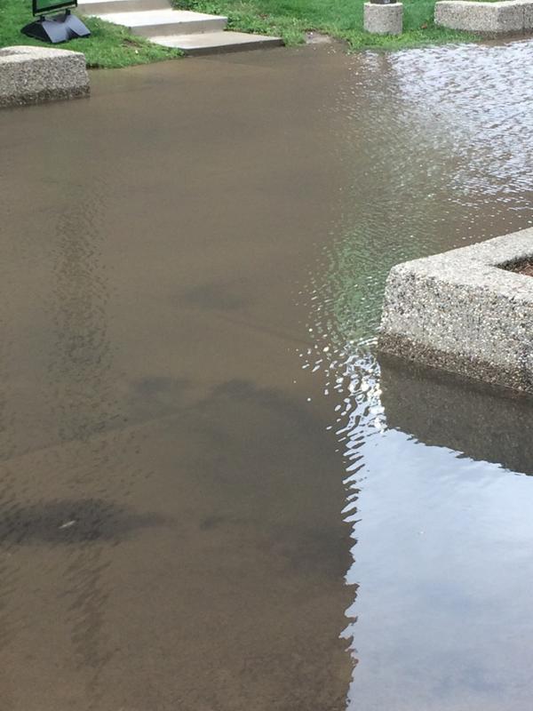 DanevinK's tweet photo. I forgot my kayak at home #WayneStateDifference http://t.co/CgUMU3lHfe