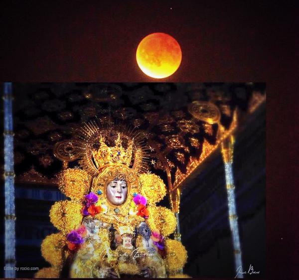 qué bonito estaba el lirio
y qué roja la amapola
pero mucho más bonita
iba la Blanca Paloma.