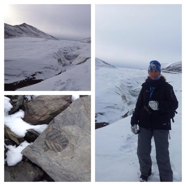 aspling99's tweet image. Glaciärexpedition med fossiljakt!