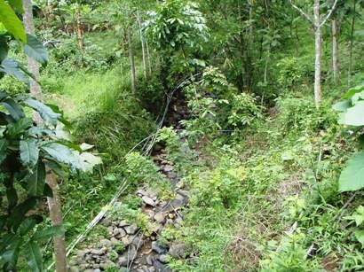 GREEN 4 FUTURE tweet media