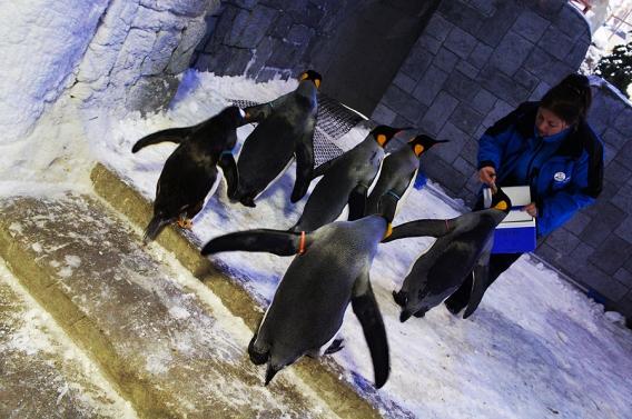 Future Kids On Twitter Future Kids Summer To Do List 6 Hit The