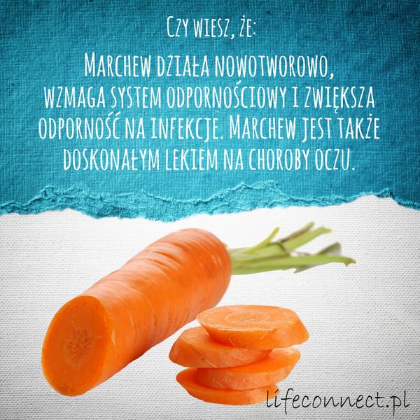 ZYCIEmasensPL's tweet image. #ciekawostka #marchewka Miłego dnia!