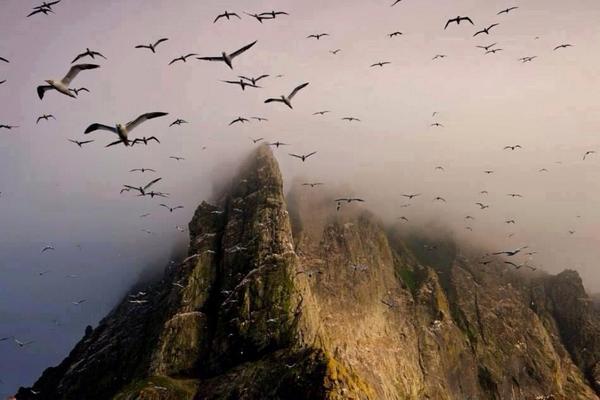 Gabriele Corno tweet media