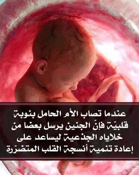 ialsheddi tweet picture