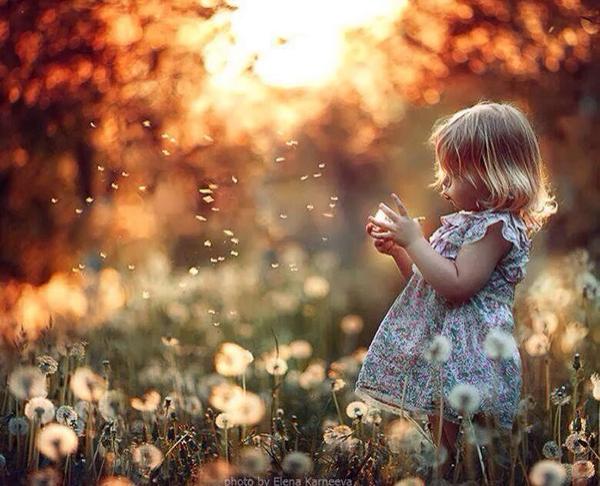 Gabriele Corno tweet media