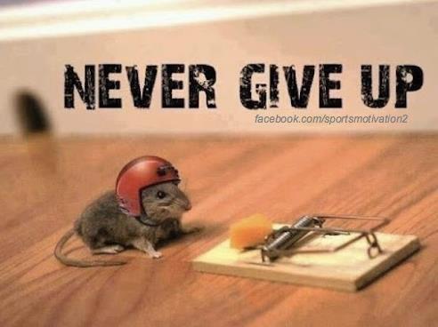 Insanityfitzone's tweet image. How hard it gets and it does NEVER GIVE UP .#nevergiveup #itwillpayoff #insane