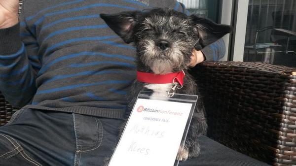 xtianb's tweet photo. Cryptodog alias Chilli ist auch beim #btcforum #ethancoin http://t.co/SpvvvBJ0t9