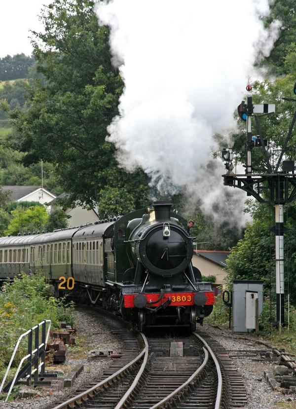 WeAcceptPets's tweet image. Take the #dog along on @southdevonrly #Railway one of #Devons best #loved #touristattractions weacceptpets.co.uk/Devon/1554