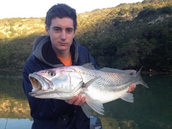 NakedFisher's tweet photo. Fished the Duiwenhoks this weekend at Vermaaklikheid and caught an early season Kob on a livey #fishing #SouthAfrica http://t.co/J09Ym1vWfA