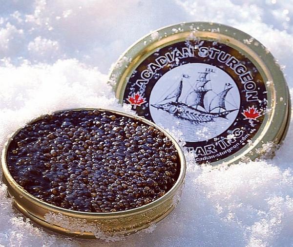TheSyndicate_CA's tweet photo. Huge thanks to @kingofcaviar #AcadianSturgeonCaviar for the delicacies for #TheDinnerForLevi #Syndicate @Raymondsnl http://t.co/21d6D66AZn