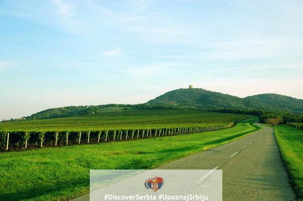 Vrsac Vineyards, Vojvodina #DiscoverSerbia
Vršački vinogradi, Vojvodina #UpoznajSrbiju