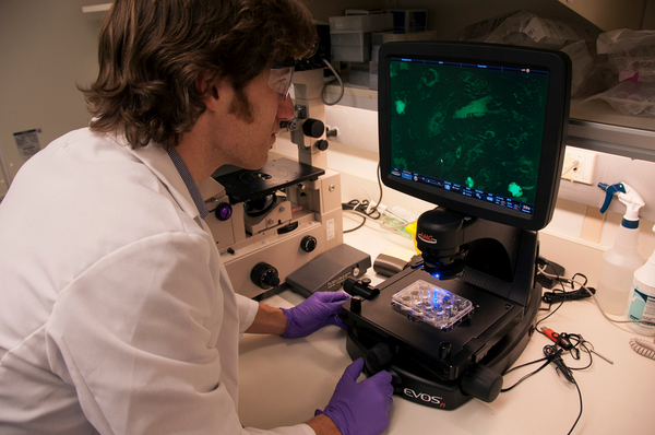 NyreeCBI's tweet photo. 5 Initiatives to Advance Research into Rare Disease Therapies http://t.co/xUYtW2HhpE #NORD2014 #raredisease http://t.co/nviqLCAU7E