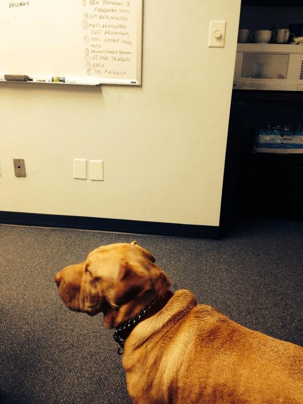 Jimmy_Woof's tweet photo. Just another day at the office http://t.co/jeimgX1HYl