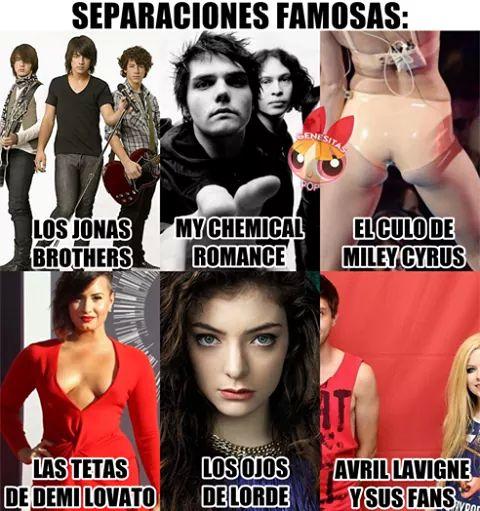 LaurenBearfk's tweet photo. Porque me estoy riendo http://t.co/wwDpsZMalR