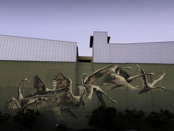 allcitycanvasEN's tweet photo. Swans in #movement are the #protagonists in Faith47 latest #work http://t.co/lQH0EfiCFs http://t.co/7YIiayawxr