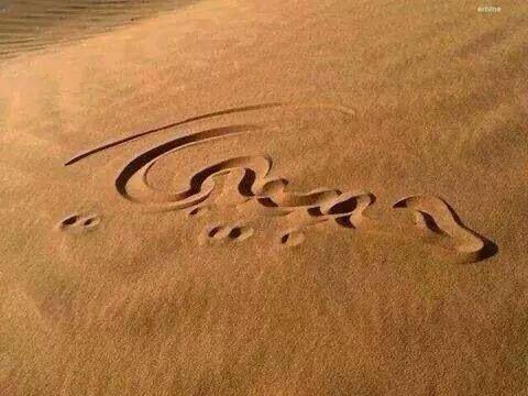 ابو الحن (@ss50000ss2) on Twitter photo 