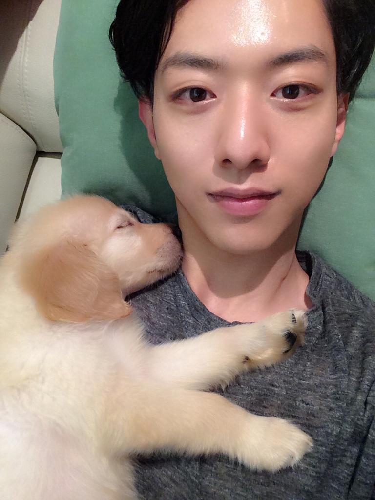 埋め込み画像への固定リンク