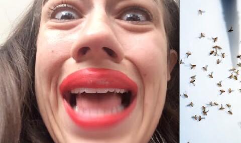 MirandaSings's tweet photo. My anaconda don't. My anaconda don't. My anaconda don't have fun unless u got bugs hon. http://t.co/5lTbc9f36j