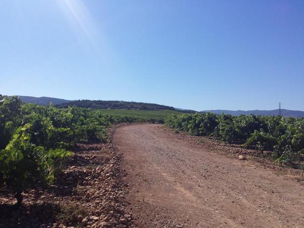 alb_roberto's tweet photo. Ke pequeña es la rioja he entrado y cuando me dao cuenta estaba n castilla http://t.co/KUztgS9gpf