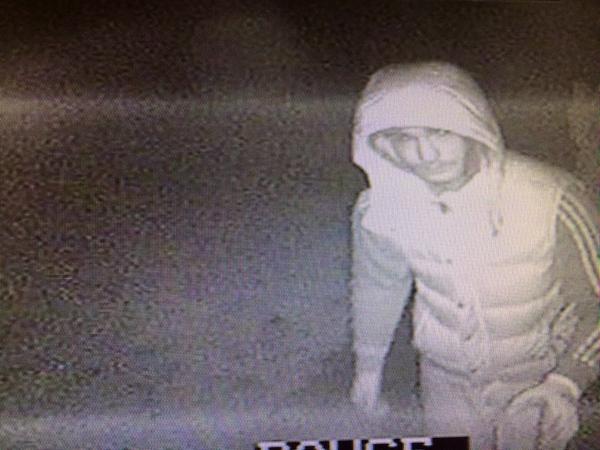 ChrisMcKibbin's tweet image. @HockerillCC @HockerillColts @bsrc_org_uk  these are the cretins that broke in last night. Please RT!!