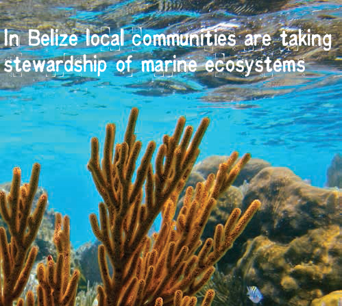 UNDP's tweet image. See how #SIDS are fighting human-induced climate change: on.undp.org/AZ9It #islands2014