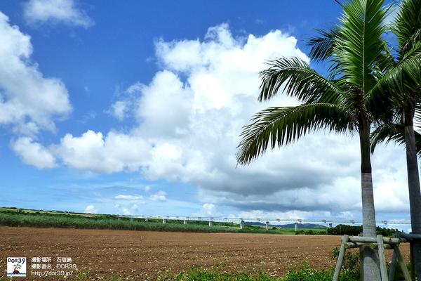 【ランナーおすすめ】石垣島で2015年・初ラン体験♪「第13回石垣島マラソン大会」1/25（日）開催 goo.gl/yTQpe2 一年を爽やかに始めよう(´∀｀*) #マラソン #ラン #石垣島