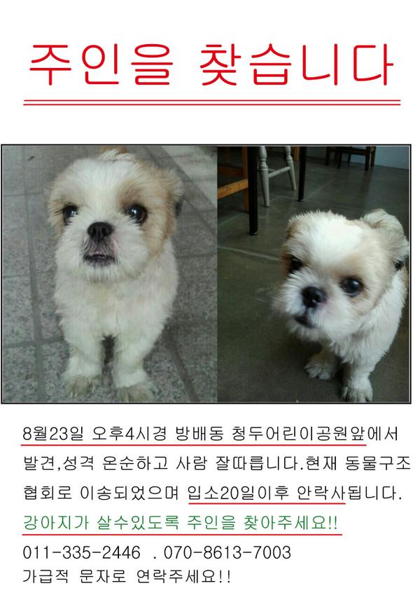 ekara_org's tweet photo. [입양공고] 8월 23일 오후 방배동 청두어린이공원앞에서 발견된 강아지의 입양이 시급합니다. 온순하고 사람을 좋아하는 이 강아지가 살 수 있도록 가족이 되어주세요. http://t.co/7q8iYwG5RF