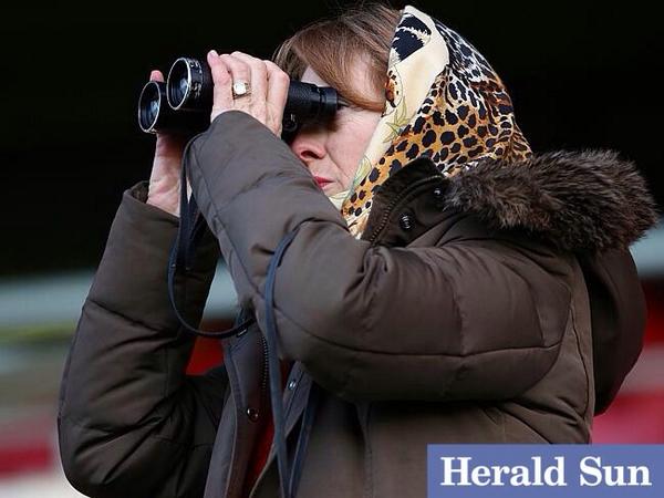 SPRING in #Melbourne @GaiWaterhouse1 focused @theheraldsun @kleinyheraldsun @FlemingtonVRC #MelbourneMornings #spring