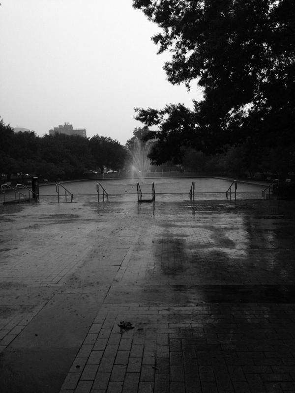 TheyCa11MeDusty's tweet image. Rain #thomascooperlibrary #usc