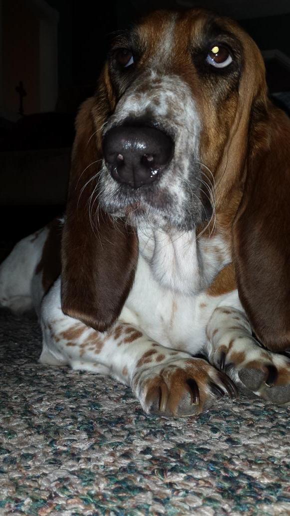 HarleyGirl_1's tweet photo. Momma says I'm a good girl #goodselfesteem http://t.co/gCD4CAVRp2