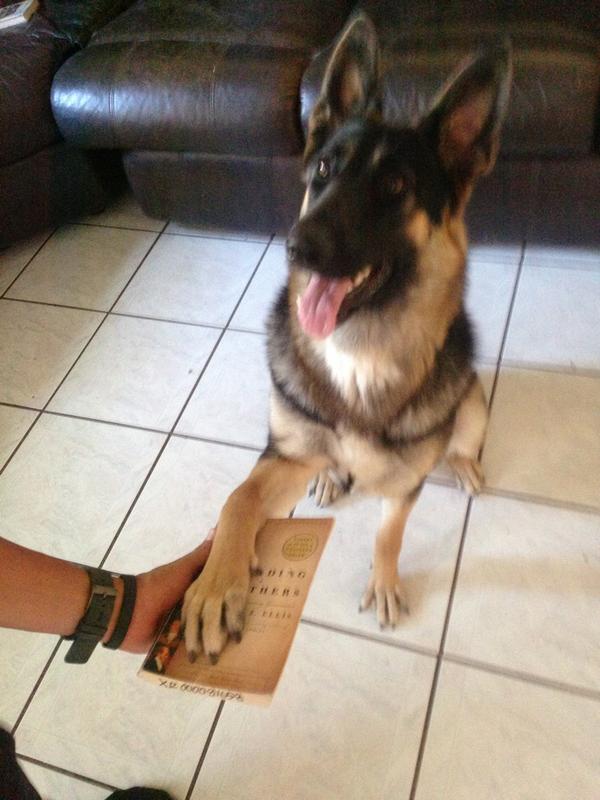 TrackSafeinCA's tweet photo. MT @alyssa__padilla She swears to stay off the railroad tracks. http://t.co/5npRbZnJ21 @BNSFRailway #stayoffthetracks
