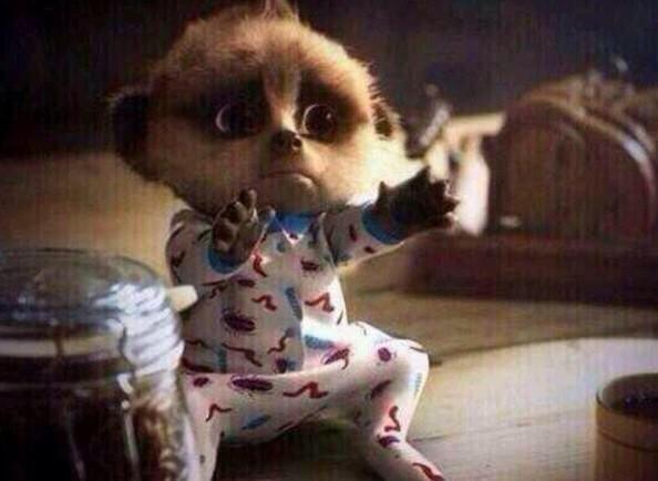 Boo6vallee's tweet image. “@awkwardposts: when u had a bad day u finally see bae http://t.co/PqDNyCBai9”@cass09palinka 😖
