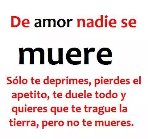 Gustavito9To's tweet photo. Jajajajajajajajajajajajajaj que pasados la verdad.. http://t.co/rH0dK52qmU