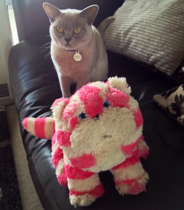 SusanneMAuthor's tweet photo. @MYSADCAT #Bagpuss is clearly not not a fat pink otter! Miaow. You are making MY #Cat sad. #hellokittyisnotacat http://t.co/C0R8wVD1Qi