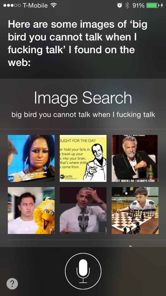 HowVeryDark's tweet photo. Looking up pics of big bird using Siri and everyone kept talking...Siri hooked me up❤️ http://t.co/woSaZpfFMu
